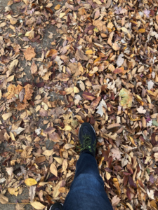 Leaves crunching under-foot